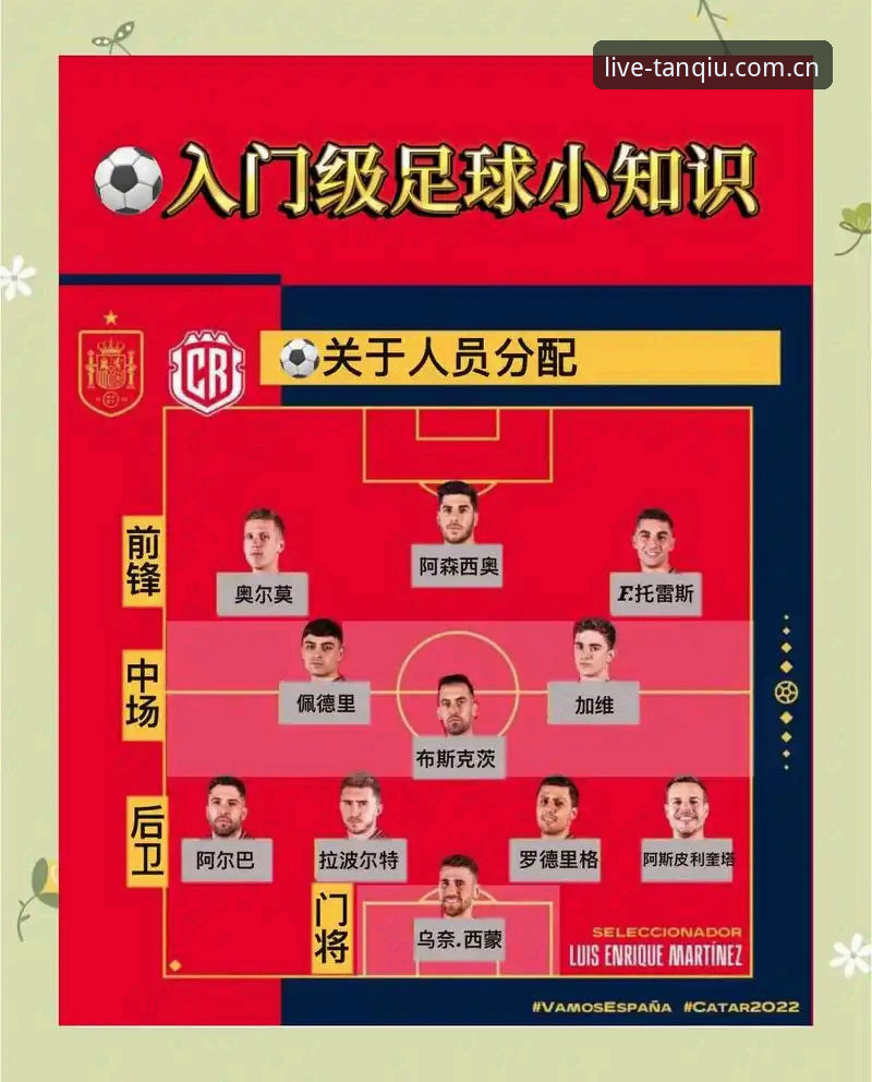 揭秘谈球吧官网：从新手到老手的完整观赛指南，这些细节你可能不知道